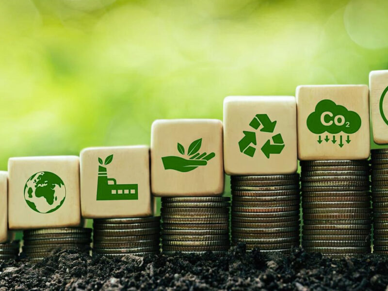 Climate Budgeting, South & West Asia